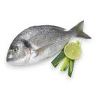 AL JAZIRA SEA BREAM FARMED PER KG