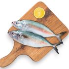 AL JAZIRA MACKEREL BIG PER KG