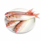 SULTAN IBRAHIM FISH PER KG