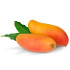 MAHACHANOK MANGO THAILAND PER KG