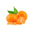 SOUTH AFRICA MANDARIN NOVA PER KG