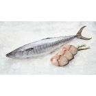 FRESH KING FISH PER 1KG