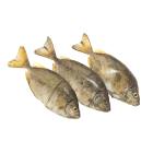 FRESH SAFI PER 1KG