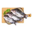 FRESH TILAPIA FISH (BAHRAIN) PER KG