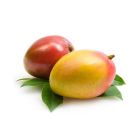 AUSTRALIA MANGO PER KG