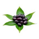 INDIA KALA JAMUN JAVA PLUM PER KG