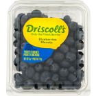 USA BLUEBERRIES PER PACK