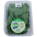 DAR AQUA BABY KALE 250 GMS