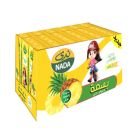 NADA BASMA PINEAPPLE JUICE 18X200 ML