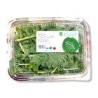 PENINSULA KALE PER BOX