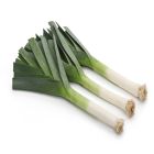 HOLLAND LEEKS PER KG