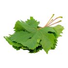 GRAPE LEAVES PER BOX