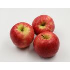 APPLE PINK LADY PER KG