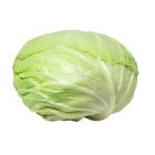 JORDAN CABBAGE BIG SIZE PER KG