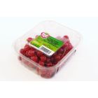 HOLLAND RED CURRANT PER PC