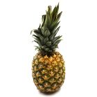 PINEAPPLE PHILIPPINES PER KILO