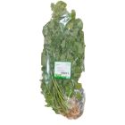 THAILAND CORIANDER PER PC
