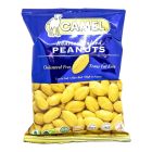 CAMEL ROASTED SALTED PEANUT 36 GMS