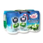 ICE COOL COCONUT JUICE 6X310 ML