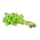THAILAND CHINESE CELERY PER PC