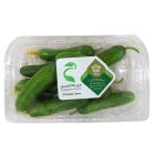 BAHRAIN BABY CUCUMBER - PACKET