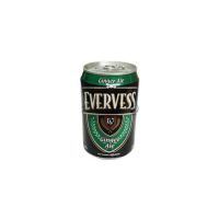 EVERVESS GINGER ALE 300ML