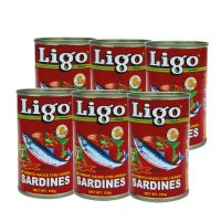 LIGO SARDINES IN TOMATO SAUCE 6X155 GMS @ SPL.PRICE