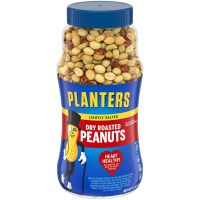 PLANTER`S PEANUTS DRY ROASTED LIGHTLY SALTED 16 OZ