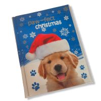 PMS 2ASSTD XMAS CARDS GIFT PACK IN PVC BOX IN PDQ