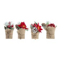 PMS CHRISTMAS PLANT IN JUTE SACK 4 ASSORTED DESIGNS