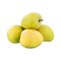 MANGOES HIMSAGAR INDIA PER KG