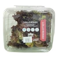 DAR AQUA LOLLO ROSSA LETTUCE 250 GMS