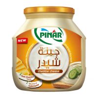 PINAR PROCESSED CHEDDAR CHEESE 500 GMS