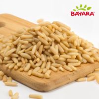 BAYARA PINE SEEDS - PAKISTAN PER KG