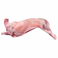 LOCAL ARABIC LAMB CARCASS PER KG