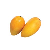 MANGO MALLIKA INDIA