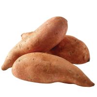 POTATO SWEET EGYPT PER KG