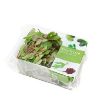 HOLLAND LETTUCE RED CHARD PER PC