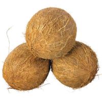 INDIAN COCONUT