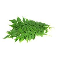 INDIAN CURRY LEAVES PER KG