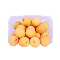 SOUTH AFRICA APRICOT BOX 500 GMS