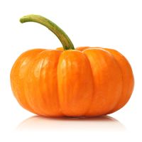 PUMPKIN INDIA PER KG