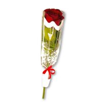 SINGLE ROSE INDIVIDUAL WRAPPED