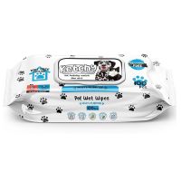 KETCHY GROWING PET WIPE STANDARD 100'S