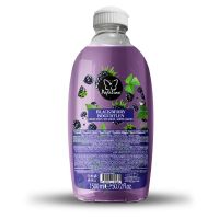 PAPILION BLACKBERRY HAND SOAP 1.5 LTR