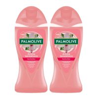 PALMOLIVE SHOWER GEL ASSORTED 2X250 ML 