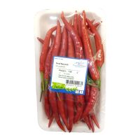 THAILAND CHILLIES RED PER PC