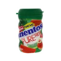 MENTOS PURE FRESH WATERMELON 87.5 GMS