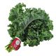 THAILAND ORGANIC KALE PER PACK (APPROX - 100 GMS)