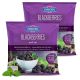 EMBORG BLACK BERRIES 2X300 GMS @SPECIAL OFFER